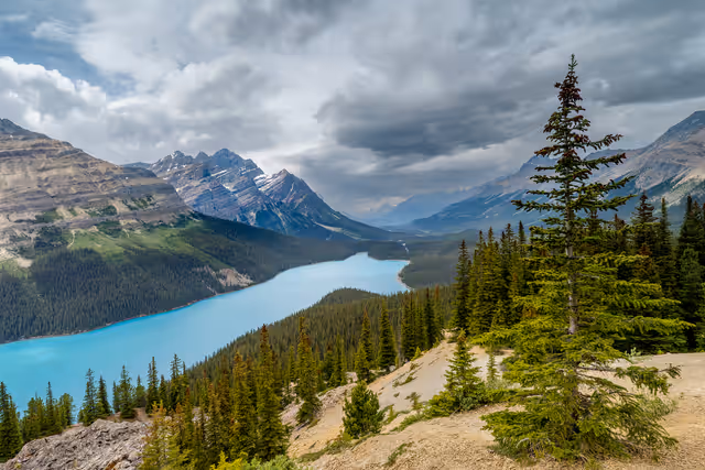 Peyto Lake